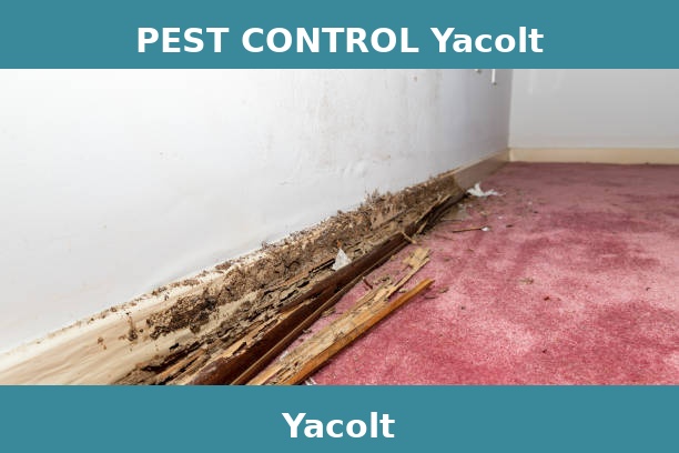 PEST CONTROL Yacolt